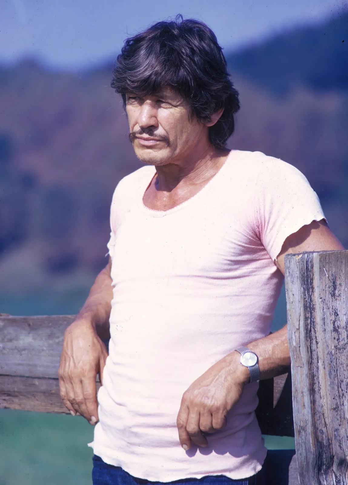 Charles Bronson Biography, Net Worth, Age, Family, Height, And More